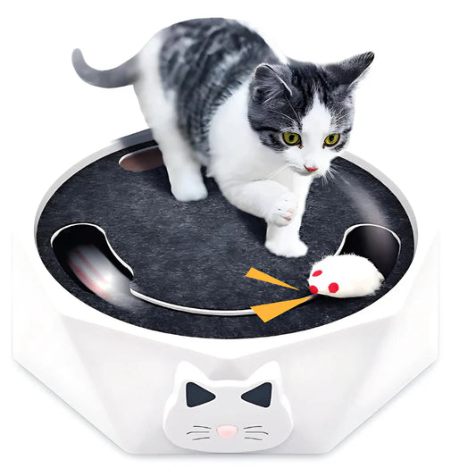 MeowQuest: Interactive Mouse Toy for Cats 3in1